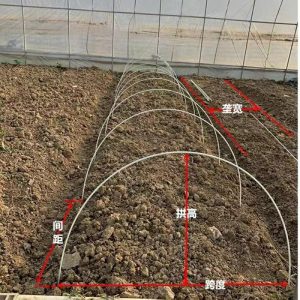 2 Suporturi Pentru Legume, Seră Cu Izolație, Seră Din Fibră De Sticlă, Suporturi Solide Pentru Mici Arce, Structuri Pentru Sere De Cultivare.  |   Structura Serelor Structura Serelor Structura Serelor