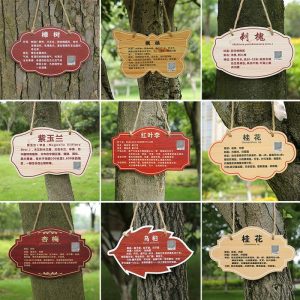 Școala De Pe Arbore, Parc, Plăcuțe Din Oțel Inoxidabil, Semne De Plantare, Informații Despre Vegetație, Plăcuțe De Identificare Pentru Arbori, Etichete Pentru Protejarea Florilor Și Pomilor Fructiferi, Etichete Suspendate, Personalizare De Plăcuțe Din Acril.  |   Placă De Prezentare A Copacilor Placă De Prezentare A Copacilor Placă De Prezentare A Copacilor