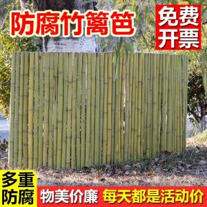 Gard Din Bambus, Gard De Protecție Din Bambus Carbonizat, Gard Japonez Pentru Grădină, Decor Exterior Pentru Curte, Perete Despărțitor Din Bambus Rezistent La Putrezire.  |   Gard De Nuiele Gard De Nuiele Gard De Nuiele