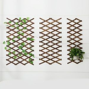 Garduri Extensibile Din Lemn Tratat Pentru Exterior, Suporturi Pentru Plante Cățărătoare, Garduri De Grădină, Panouri Decorative, Plasă De Protecție, Suporturi Pentru Flori, Accesorii Pentru Exterior.  |   Gard De Nuiele Gard De Nuiele Gard De Nuiele