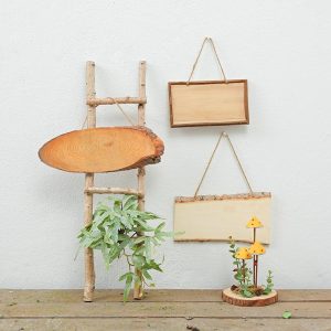 Plăcuță Din Lemn Pictată De Mână Pentru Grădiniță, Materiale Creative Diy Pentru Ziua Plantării Copacilor, Decorare Cu Plăcuțe Pentru Activități De Plantare, Aranjamente Tematice.  |   Placă De Prezentare A Copacilor Placă De Prezentare A Copacilor Placă De Prezentare A Copacilor