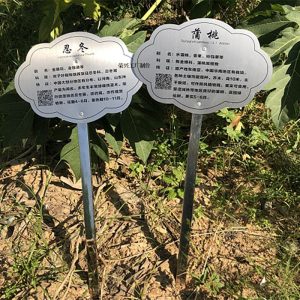 Plăcuțe De Identificare Pentru Plante Și Arbori Din Oțel Inoxidabil Personalizate Pentru Zonele Turistice, Semne De Vegetație, Plăcuțe Suspendate Și Plăcuțe De Înfipt În Pământ.  |   Placă De Prezentare A Copacilor Placă De Prezentare A Copacilor Placă De Prezentare A Copacilor