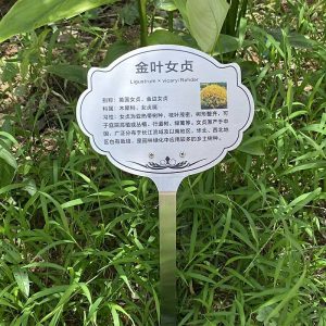 Plăcuțe Personalizate Din Oțel Inoxidabil Pentru Arbori, Stâlpi De Susținere Pentru Semne De Grădină, Etichete Pentru Flori, Plante Și Copaci Cu Cod Qr Pentru Identificarea Plantelor Din Grădină.  |   Placă De Prezentare A Copacilor Placă De Prezentare A Copacilor Placă De Prezentare A Copacilor